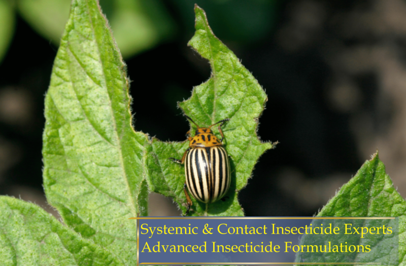 Advanced Insecticide Formulations