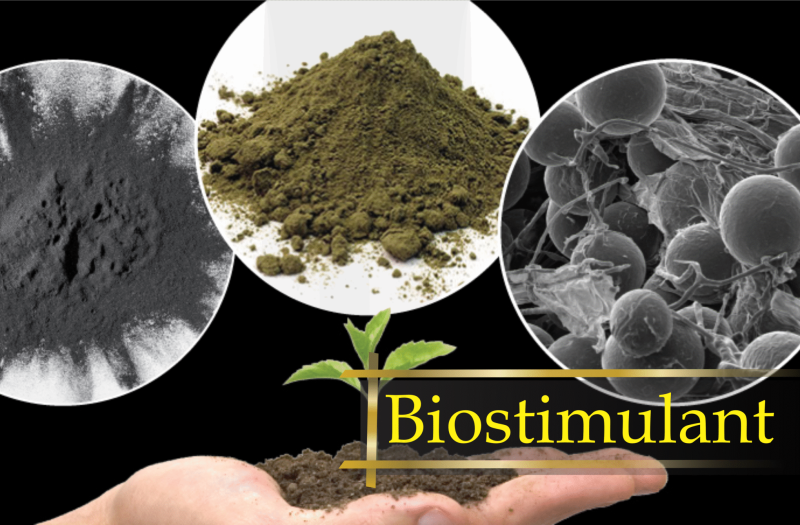 Biostimulant 2