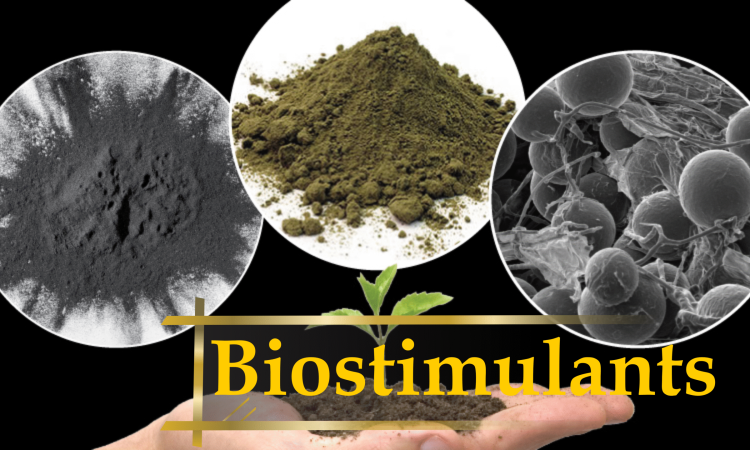 biostimulant