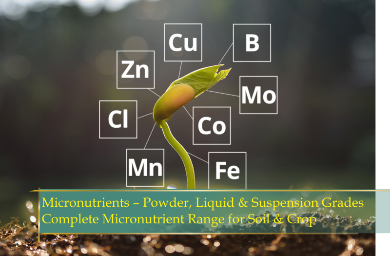 micronutrents